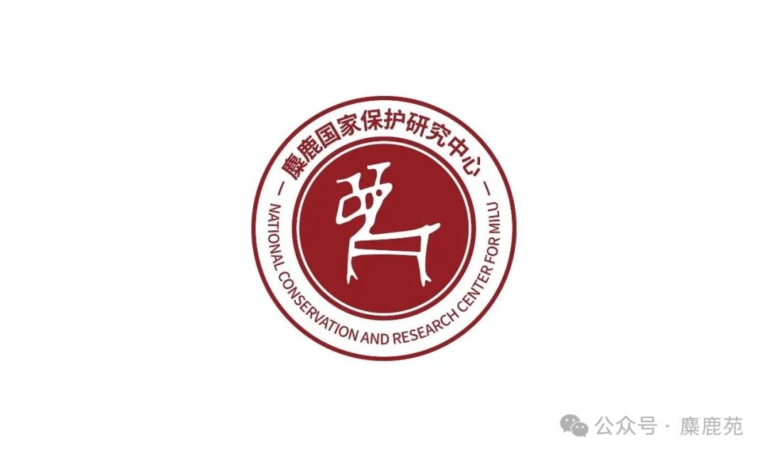 麋鹿保护四十周年宣传标识（LOGO）麋鹿国家保护研究中心形象标识（LOGO）设计大赛获奖.5图片_NO.06图