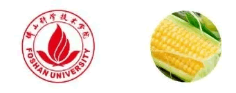 “佛甜玉米”标志征集出炉公示_NO.02图 “佛甜玉米”标志征集出炉公示_NO.02图