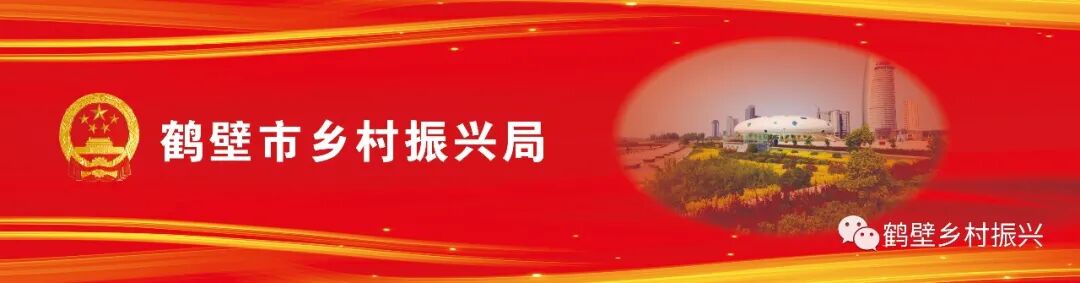 关于在全市范围内有奖征集乡村振兴党建品牌名称及logo标识的公告