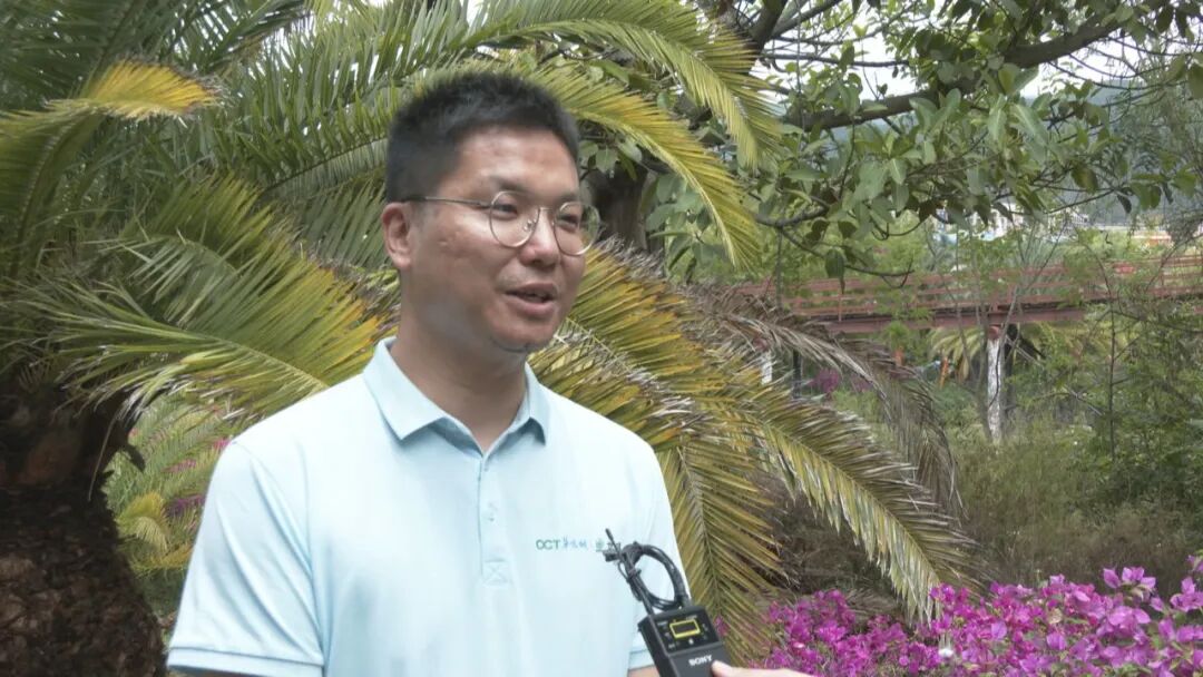 楚雄州旅游产业实现转型升级高质量发展 | 云南省楚雄彝族自治州文化形象标识征集公告
