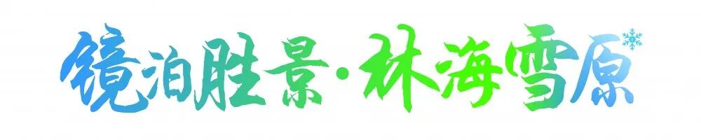 林口县“乡村振兴官”培养启动会暨“林臻品选”LOGO宣传短片征集大赛颁奖仪式举行