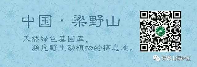 梁野山保护区LOGO有奖征集,就等你来!