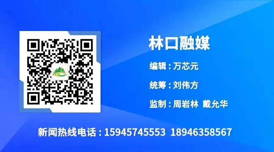 “林臻品选”LOGO宣传短片征集大赛获奖名单出炉!