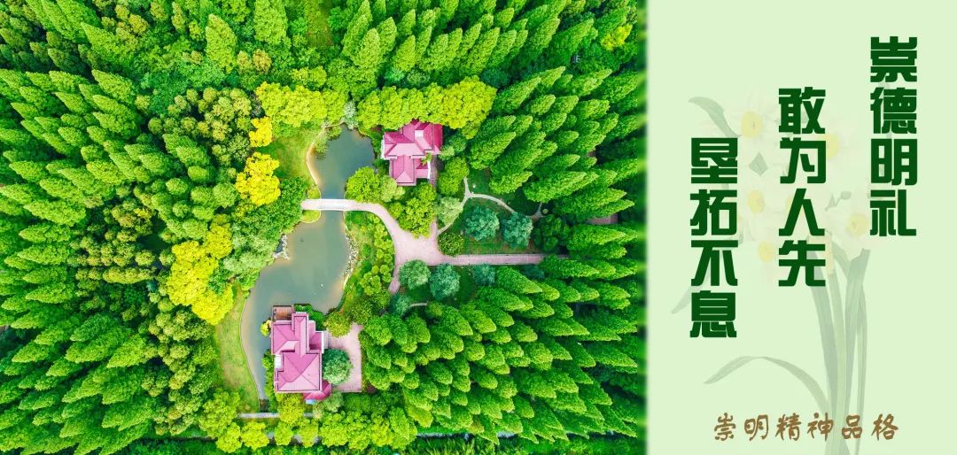 有奖征文!看完这场展览,写写你的感受