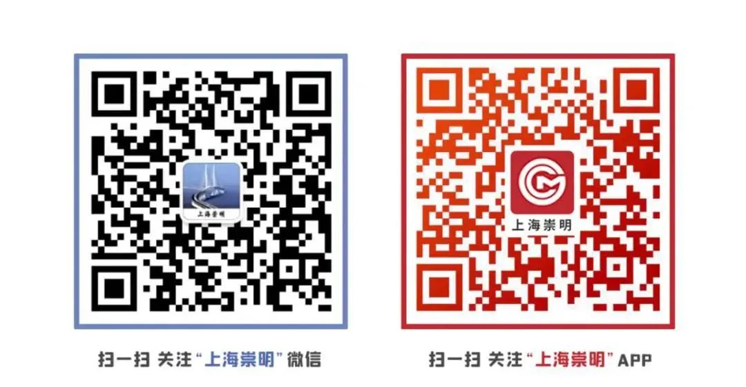 有奖征文!看完这场展览,写写你的感受
