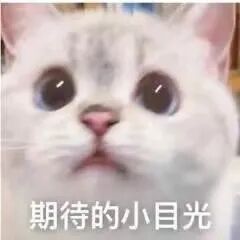 Logo征集令丨西大外院研会Logo征集大赛