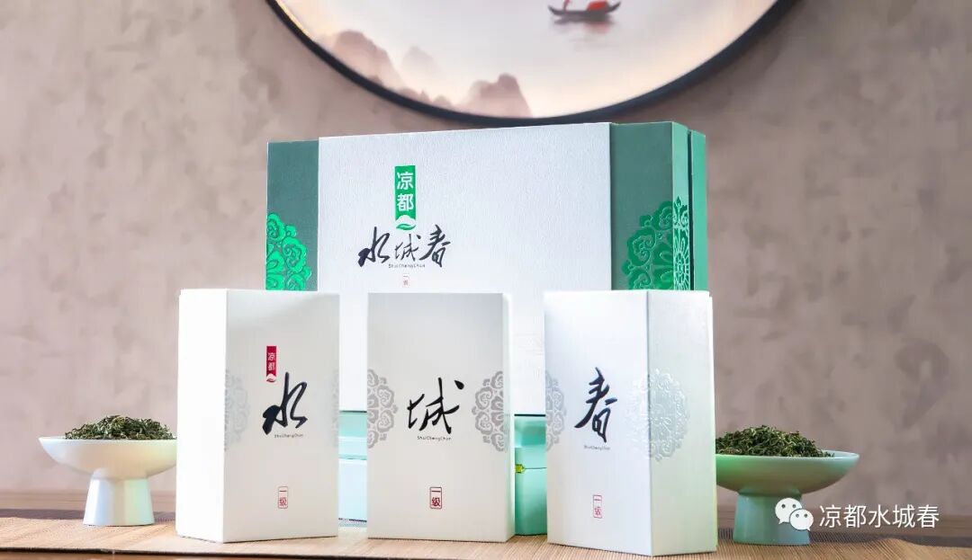 凉都水城春LOGO网络征集优秀作品出炉