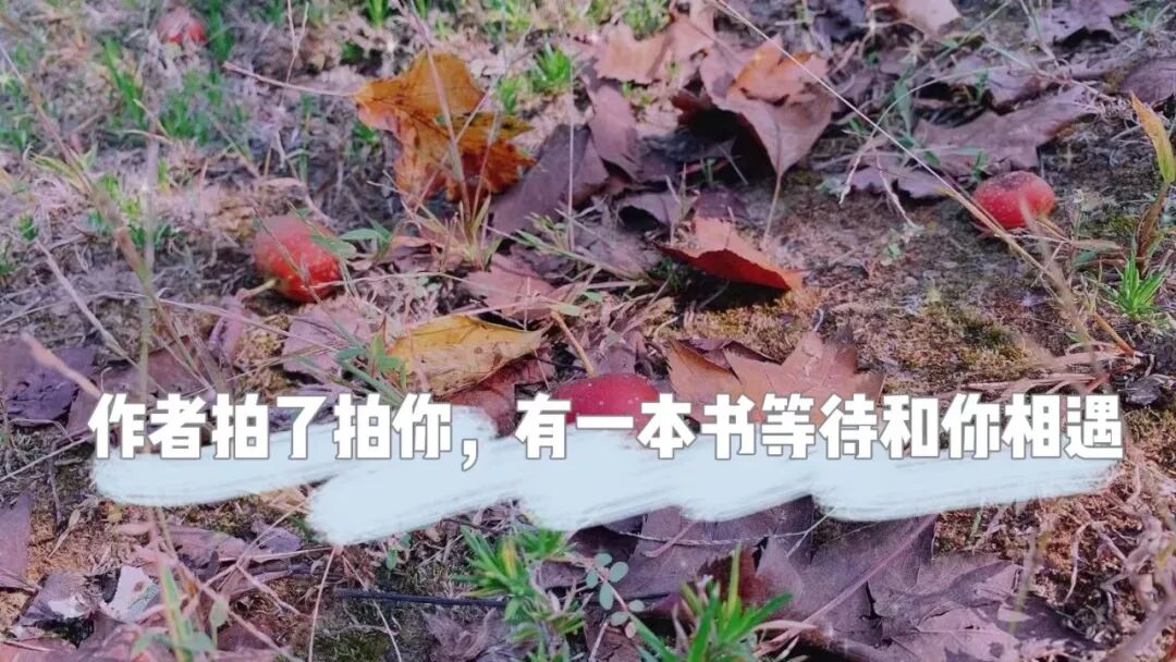 最高奖励1万元!广东茶形象标志和宣传口号等你来创作