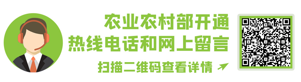 “信贷直通车”形象标识及宣传口号,有奖征集啦!