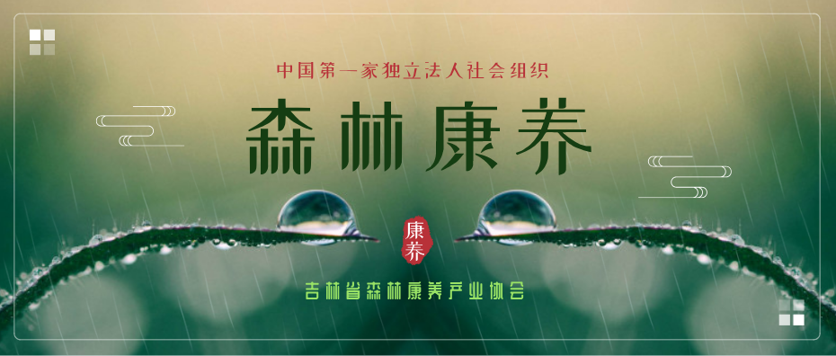 ?吉林面向社会公开征集人参产品标志