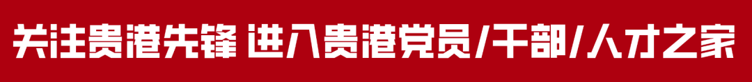 征集开始啦!贵港市“荷城英才码”LOGO等你来定