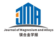 镁合金国际期刊和学会Logo设计征集大赛结果公示
