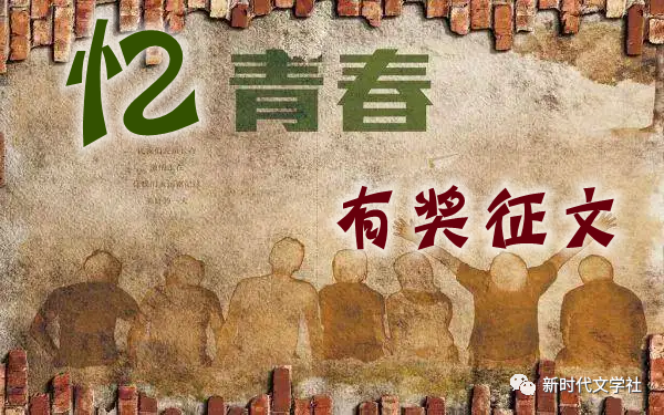 【“忆青春”主题征文】059.宋瑞粉‖见面