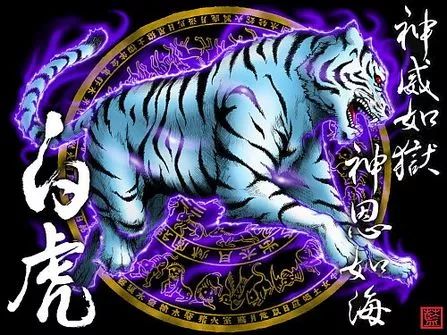 万安山动物园白虎五胞胎有偿征集名字活动