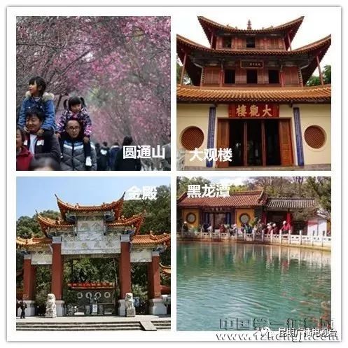 “紺ǻ”——ĸLOGOչֻ?!