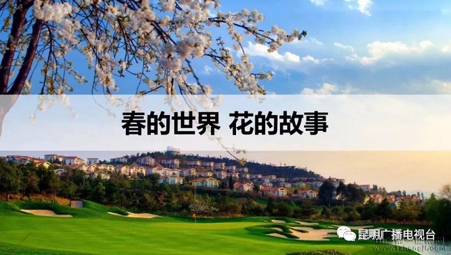 “紺ǻ”——ĸLOGOչֻ?!