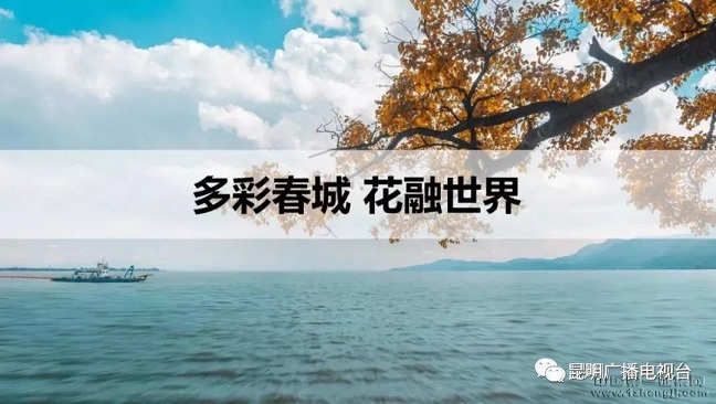 “紺ǻ”——ĸLOGOչֻ?!