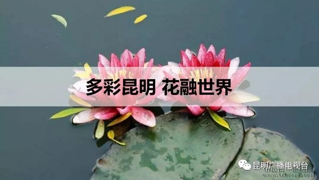 “紺ǻ”——ĸLOGOչֻ?!