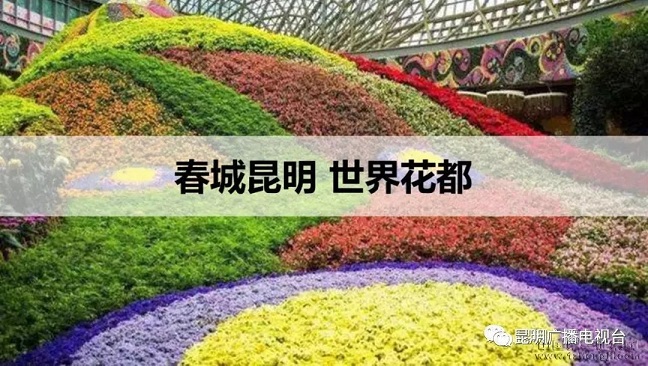 “紺ǻ”——ĸLOGOչֻ?!