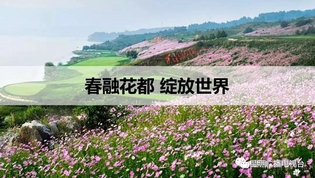 “紺ǻ”——ĸLOGOչֻ?!