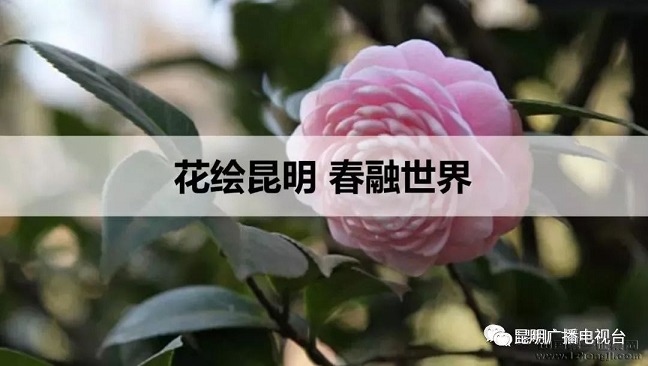 “紺ǻ”——ĸLOGOչֻ?!