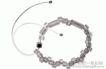 ���������Ʒ