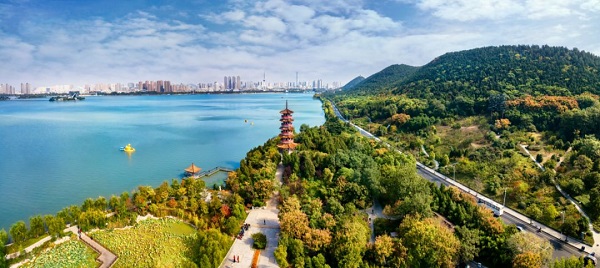 �н�����|Ȫɽ��ȫ�����������ںš������ʶLOGO��������!