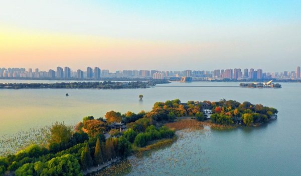 �н�����|Ȫɽ��ȫ�����������ںš������ʶLOGO��������!