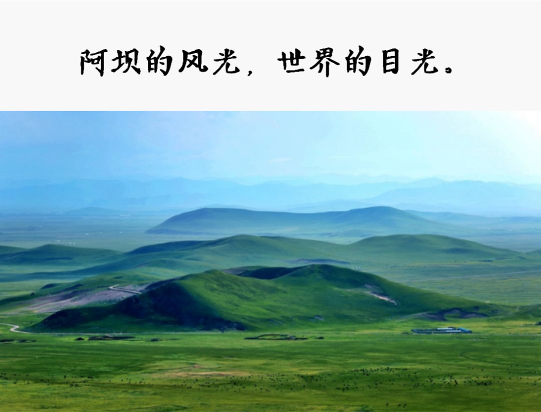 
 һ仰ֵ5򣡰ں50ǿʳ¯ϲĸ
