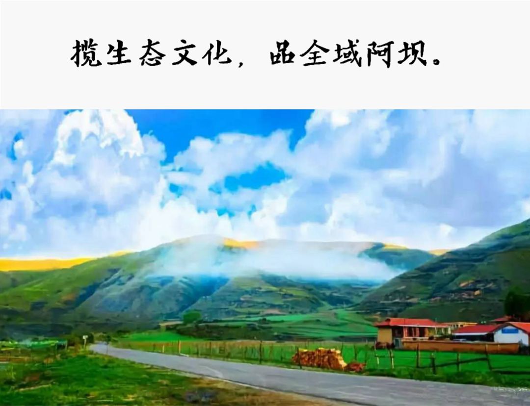
 һ仰ֵ5򣡰ں50ǿʳ¯ϲĸ
