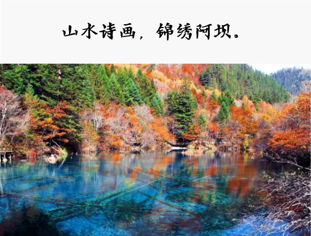 
 һ仰ֵ5򣡰ں50ǿʳ¯ϲĸ
