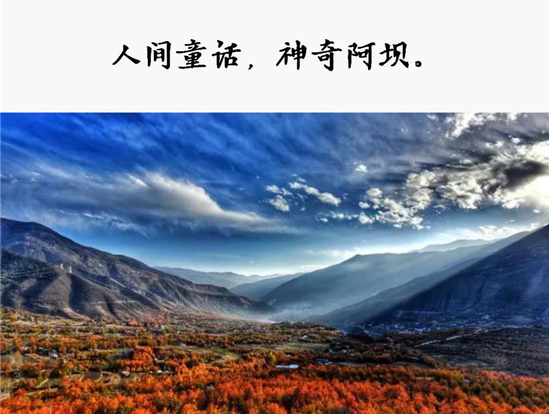 
 һ仰ֵ5򣡰ں50ǿʳ¯ϲĸ
