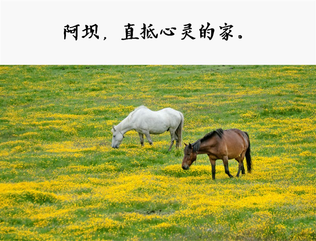 
 һ仰ֵ5򣡰ں50ǿʳ¯ϲĸ
