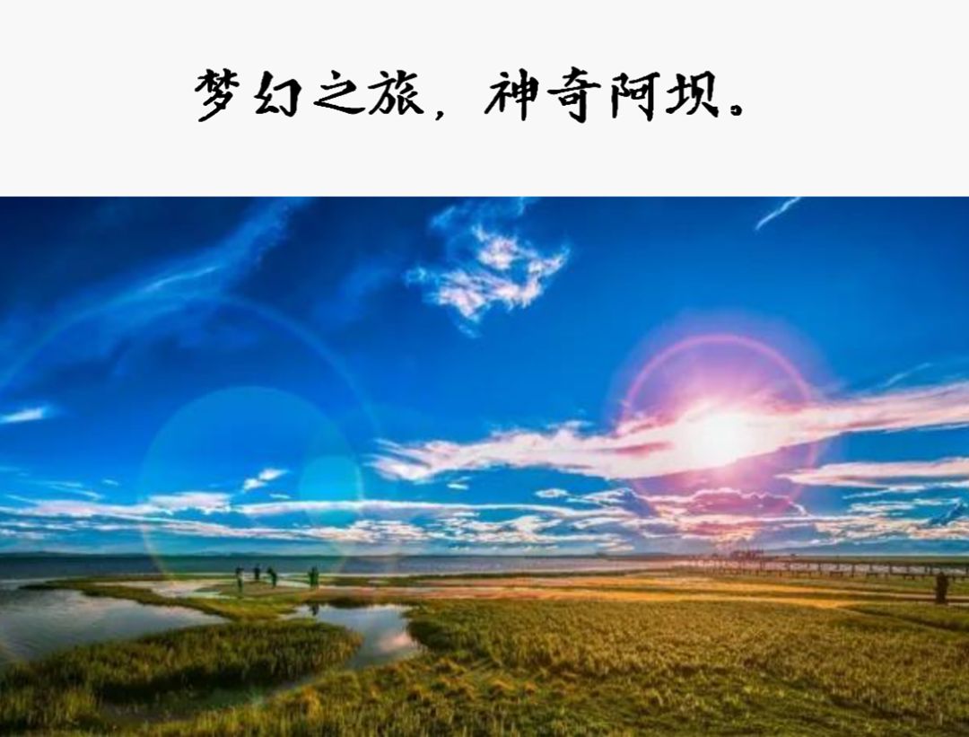 
 һ仰ֵ5򣡰ں50ǿʳ¯ϲĸ
