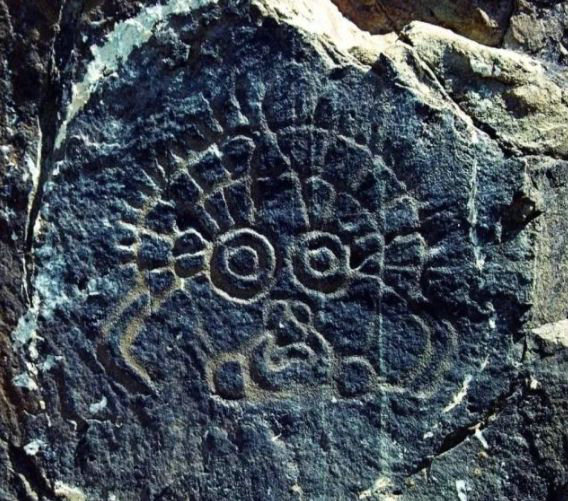 �����ⲿ�ֲ����LOGO����ʶ������