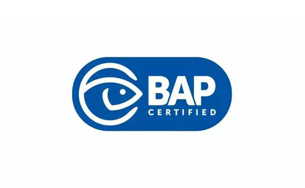 logo | ˮֳ淶BAPµLOGO