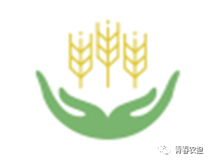 ũ˾ίںźũ־ԸߡLOGO