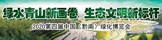 【关注】绿博会徽吉祥物宣传画评奖结果新鲜出炉，14件作品获奖！