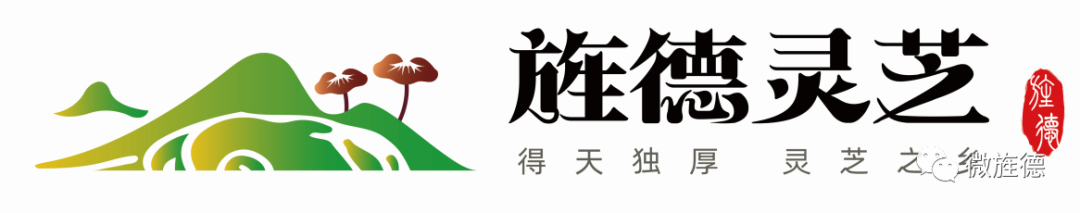 캵֥LOGO
