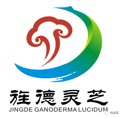 캵֥LOGO