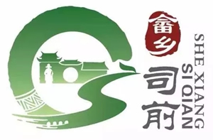 ˾ǰLOGOʾ