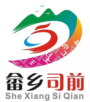 ˾ǰLOGOʾ