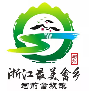 ˾ǰLOGOʾ