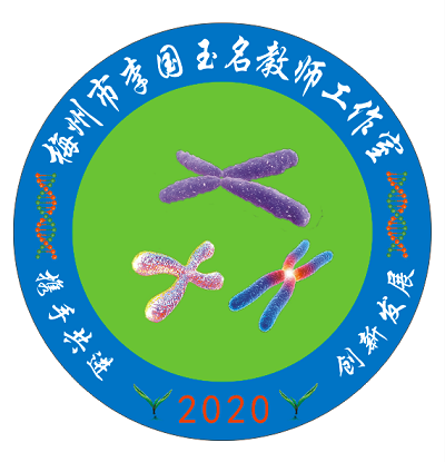 ʦLOGO