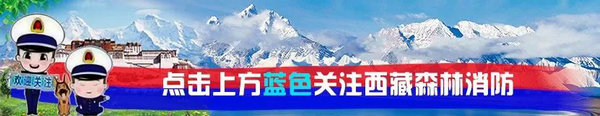 西藏森林消防总队特勤大队代号名称和标识设计方案投票