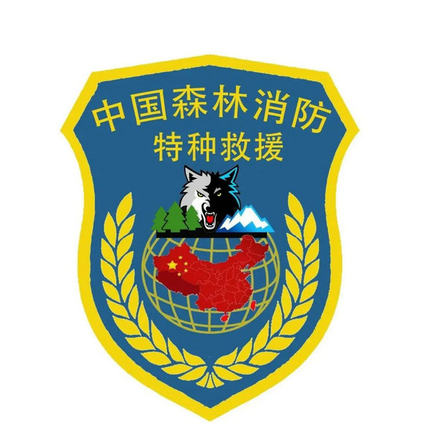 图片6.jpg 西藏森林消防总队特勤大队代号名称和标识设计方案投票