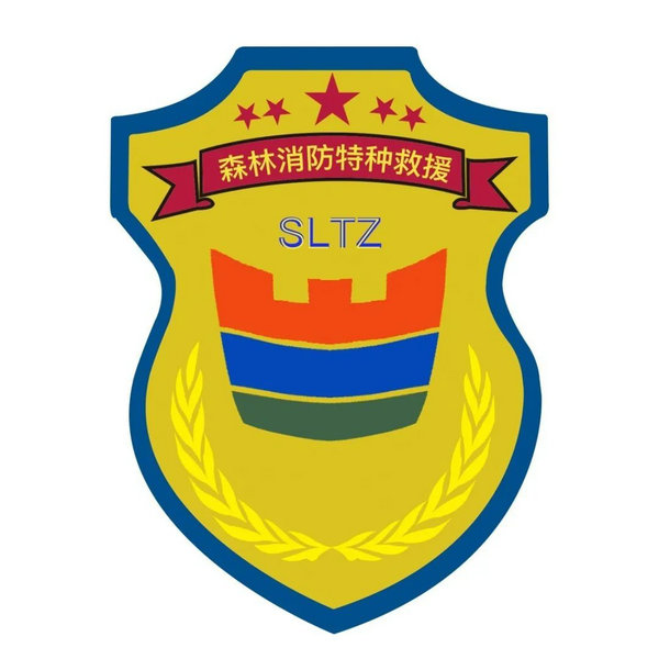 图片7.jpg 西藏森林消防总队特勤大队代号名称和标识设计方案投票
