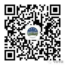 鳌江镇城市LOGO、吉祥物和城市宣传语投票结果出炉