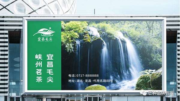 17.png “宜昌毛尖”区域公用品牌新形象正式发布!