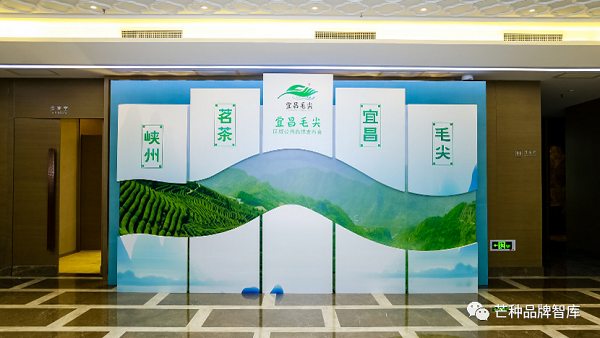 “宜昌毛尖”区域公用品牌新形象正式发布!